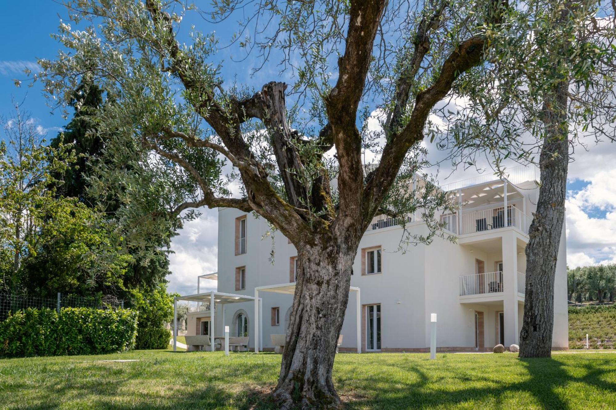 Agriturismo Le Masciare Paternopoli Esterno foto